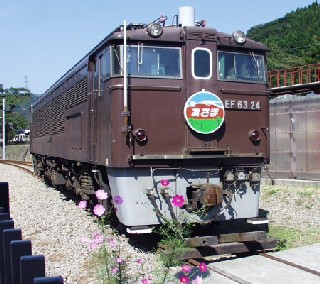 コスモスがよく似合う峠のシェルパ