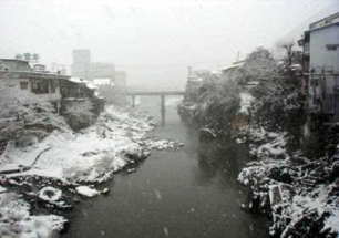 �ѥ���Ǥ������������ʤ�������